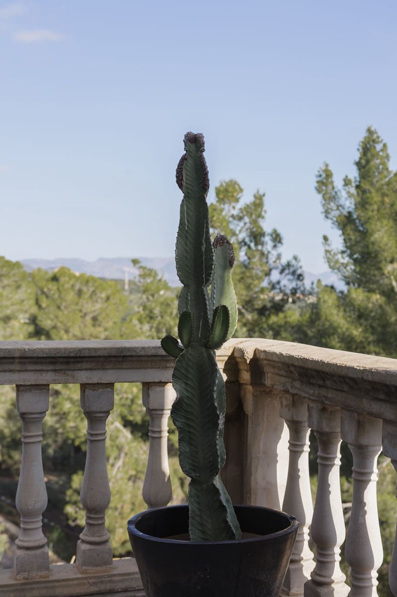 4 soverom Hus til salgs i Palma de Mallorca - € 2 300 000 (Ref: 8703283)