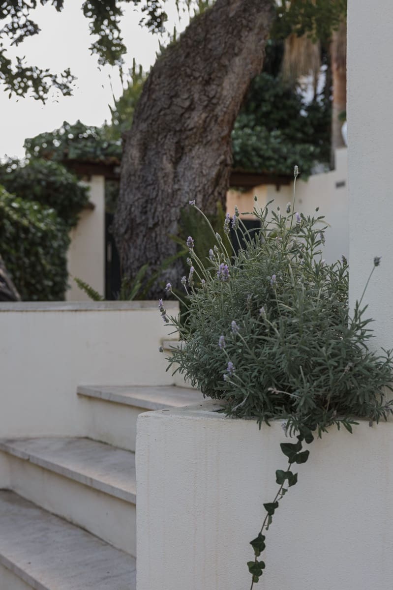 4 soverom Hus til salgs i Palma de Mallorca - € 2 300 000 (Ref: 8703283)