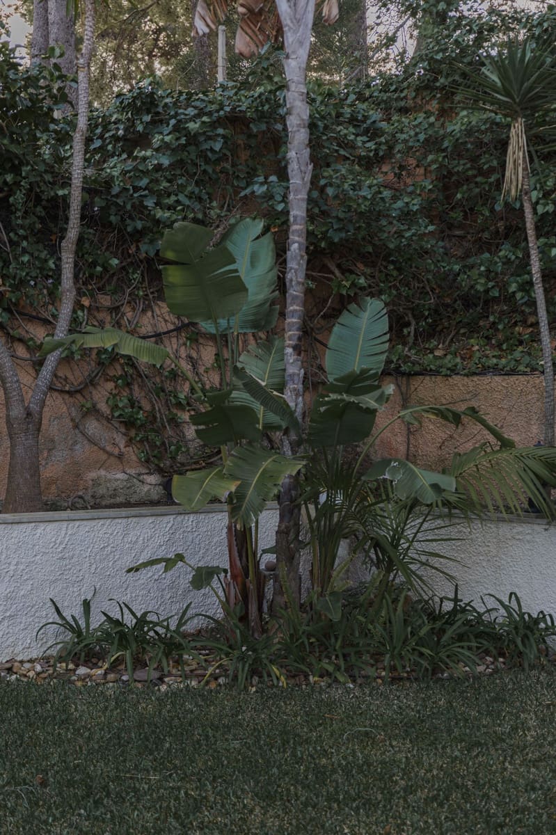 4 soverom Hus til salgs i Palma de Mallorca - € 2 300 000 (Ref: 8703283)