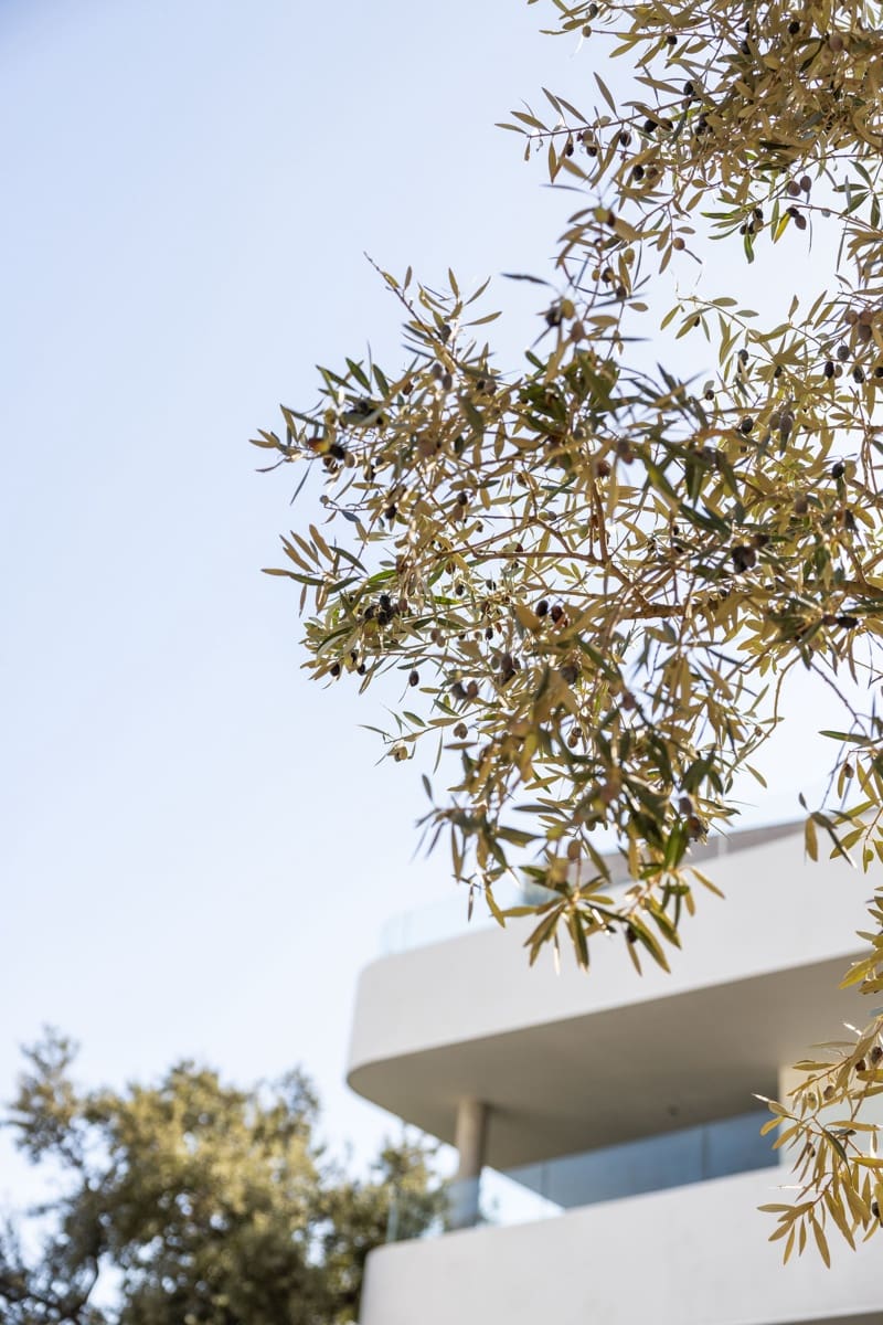 3 camera da letto Appartamento in vendita in Sotogrande con piscina - 1.250.000 € (Rif: 8738702)