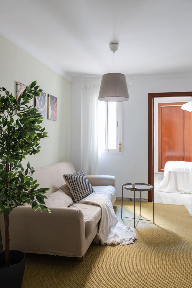 1 bedroom Apartment for rent in Malaga city - € 1,200 (Ref: 8765667)