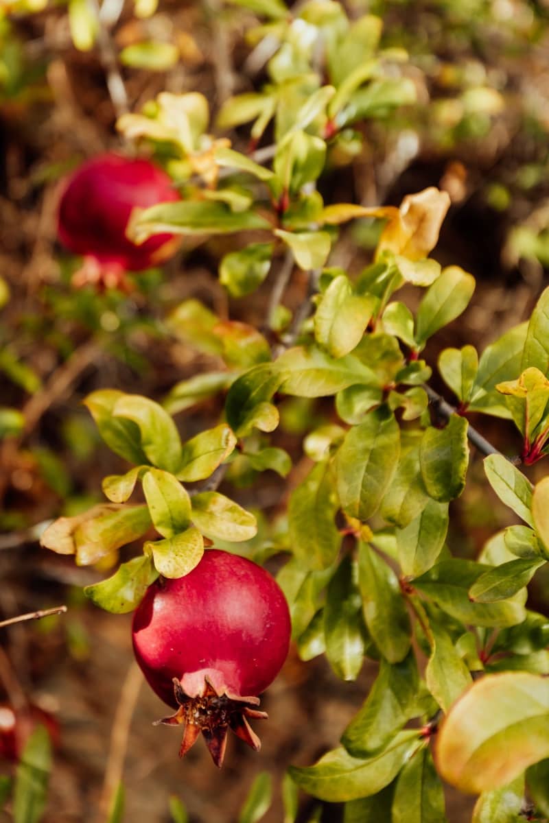 2 soveværelse Byhus til salg i Malaga by - € 480.000 (Ref: 8765669)