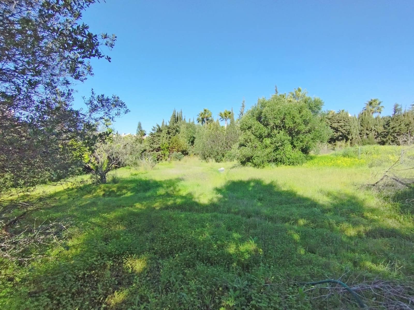 Tontti myytävänä paikassa Bel-Air - 415 000 € (Ref: 8766235)