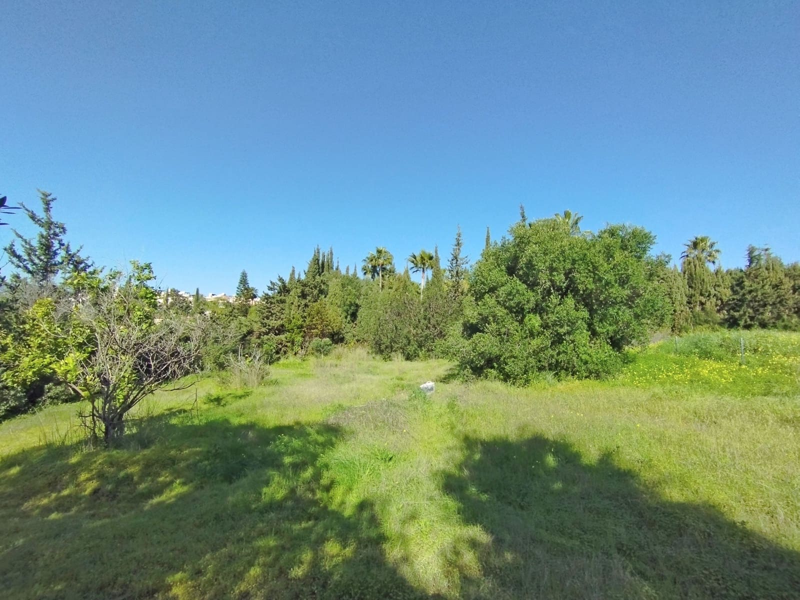 Tontti myytävänä paikassa Bel-Air - 415 000 € (Ref: 8766235)