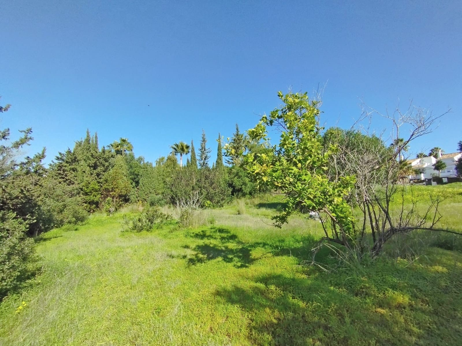 Tontti myytävänä paikassa Bel-Air - 415 000 € (Ref: 8766235)