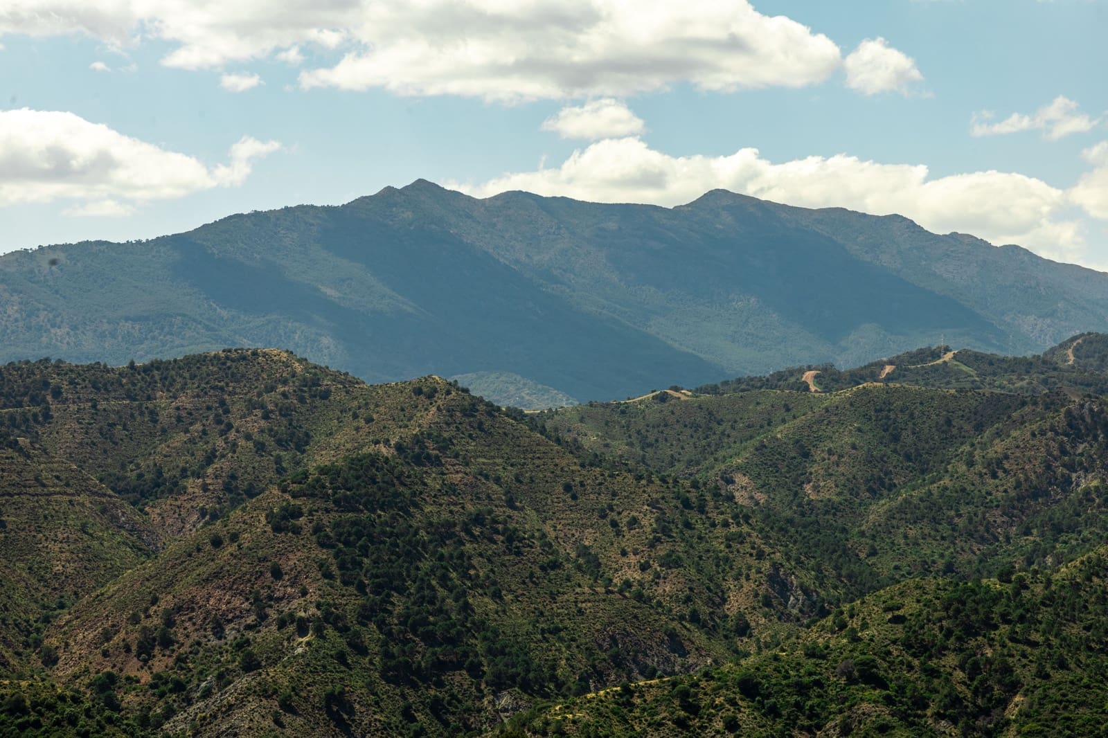 3 sypialnia Dom na sprzedaż w Istan z basenem - 849 000 € (Ref: 8774866)