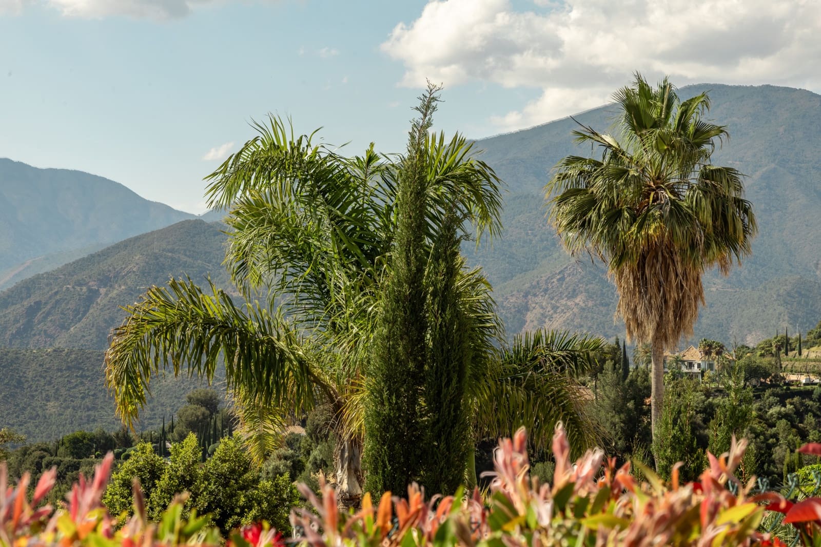 3 sypialnia Dom na sprzedaż w Istan z basenem - 849 000 € (Ref: 8774866)