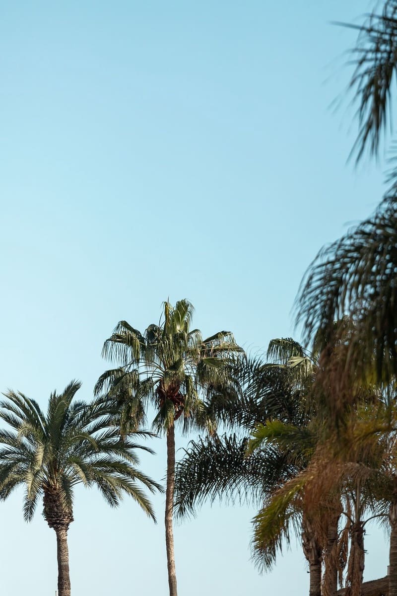 1 soveværelse Penthouse til salg i Torremolinos - € 334.000 (Ref: 8788159)