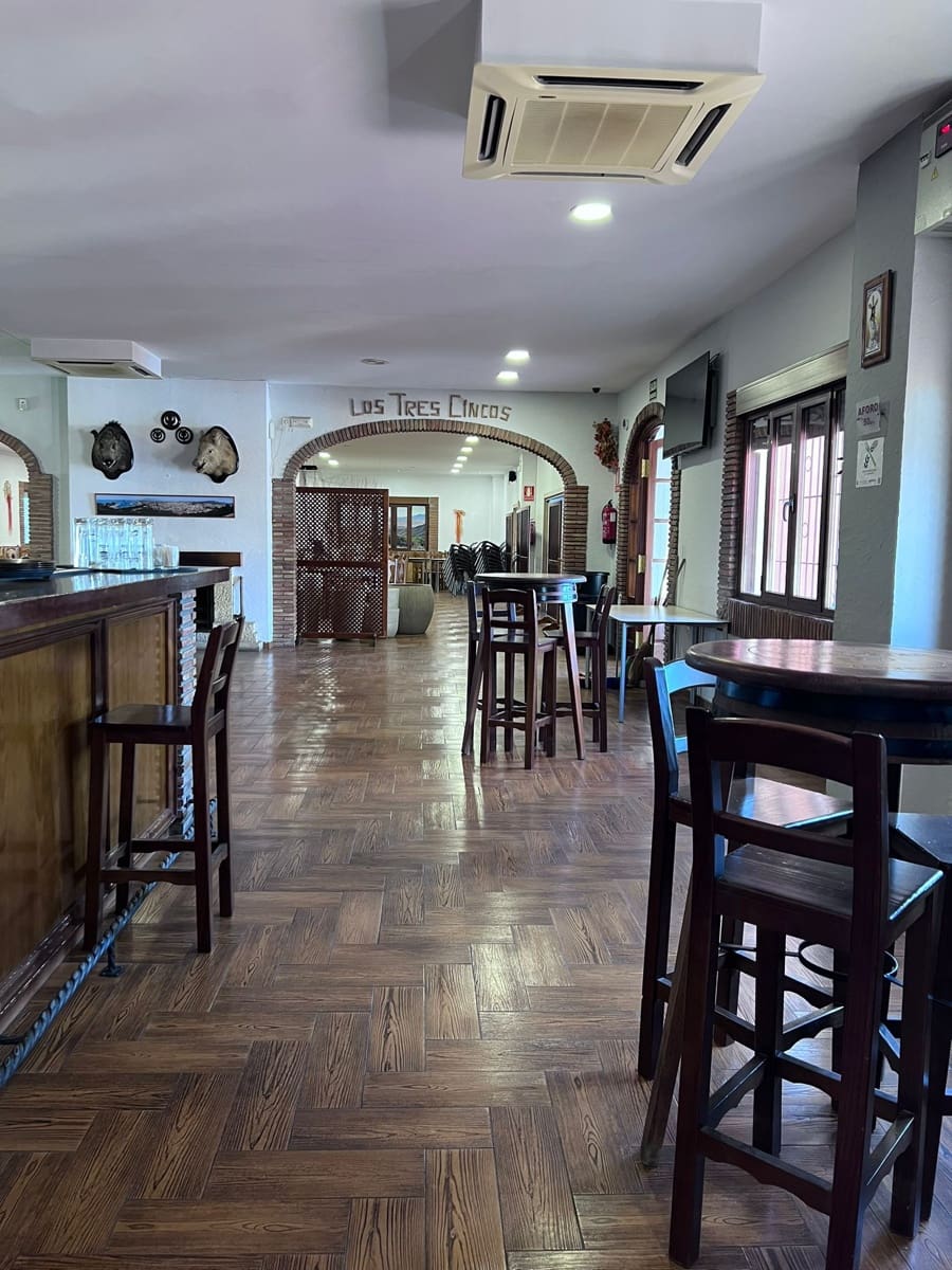4 soveværelse Restaurant/Bar til salg i Malaga by - € 1.260.000 (Ref: 8800136)