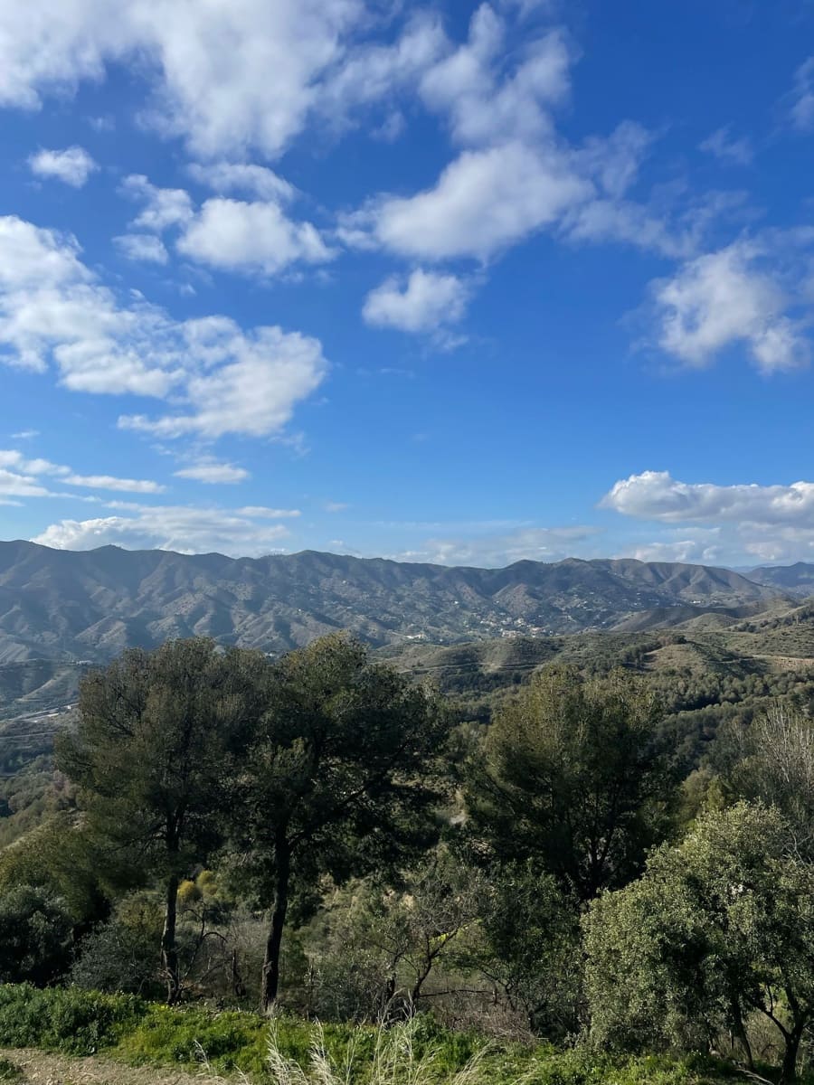 4 soveværelse Restaurant/Bar til salg i Malaga by - € 1.260.000 (Ref: 8800136)