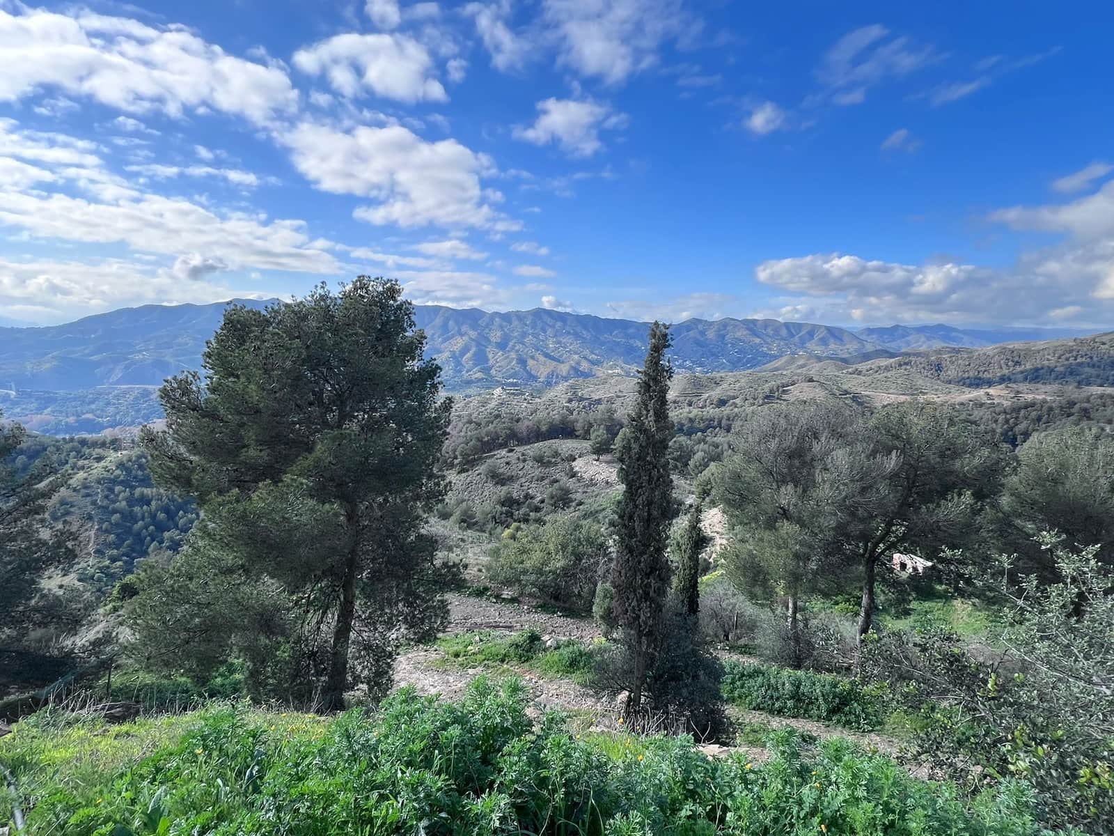 4 soveværelse Restaurant/Bar til salg i Malaga by - € 1.260.000 (Ref: 8800136)