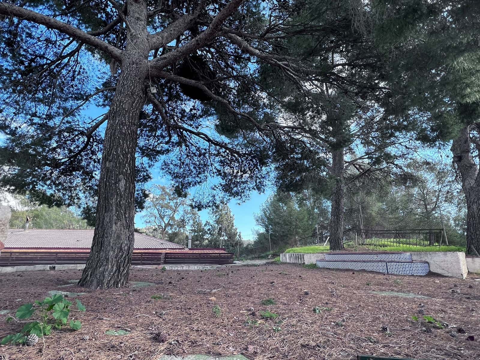 4 soveværelse Restaurant/Bar til salg i Malaga by - € 1.260.000 (Ref: 8800136)