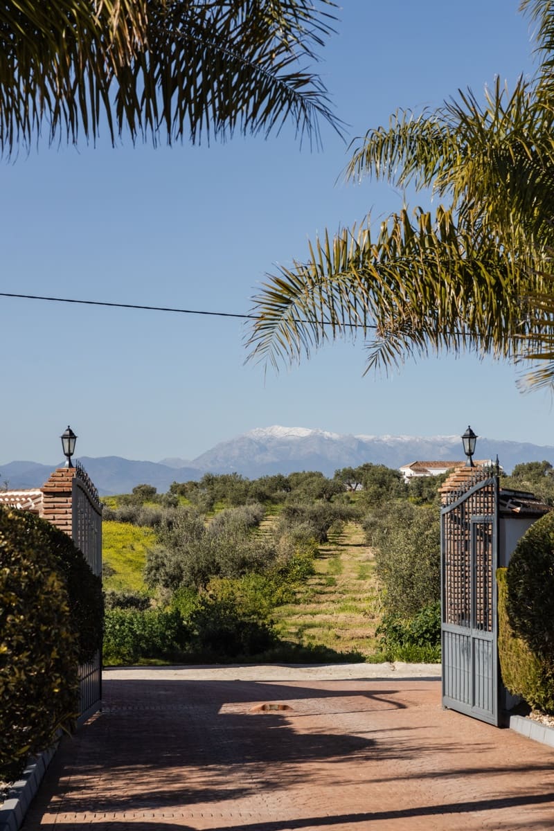 5 quarto Casa em Banda para venda em Alhaurin el Grande com piscina - 1 280 000 € (Ref: 8800502)