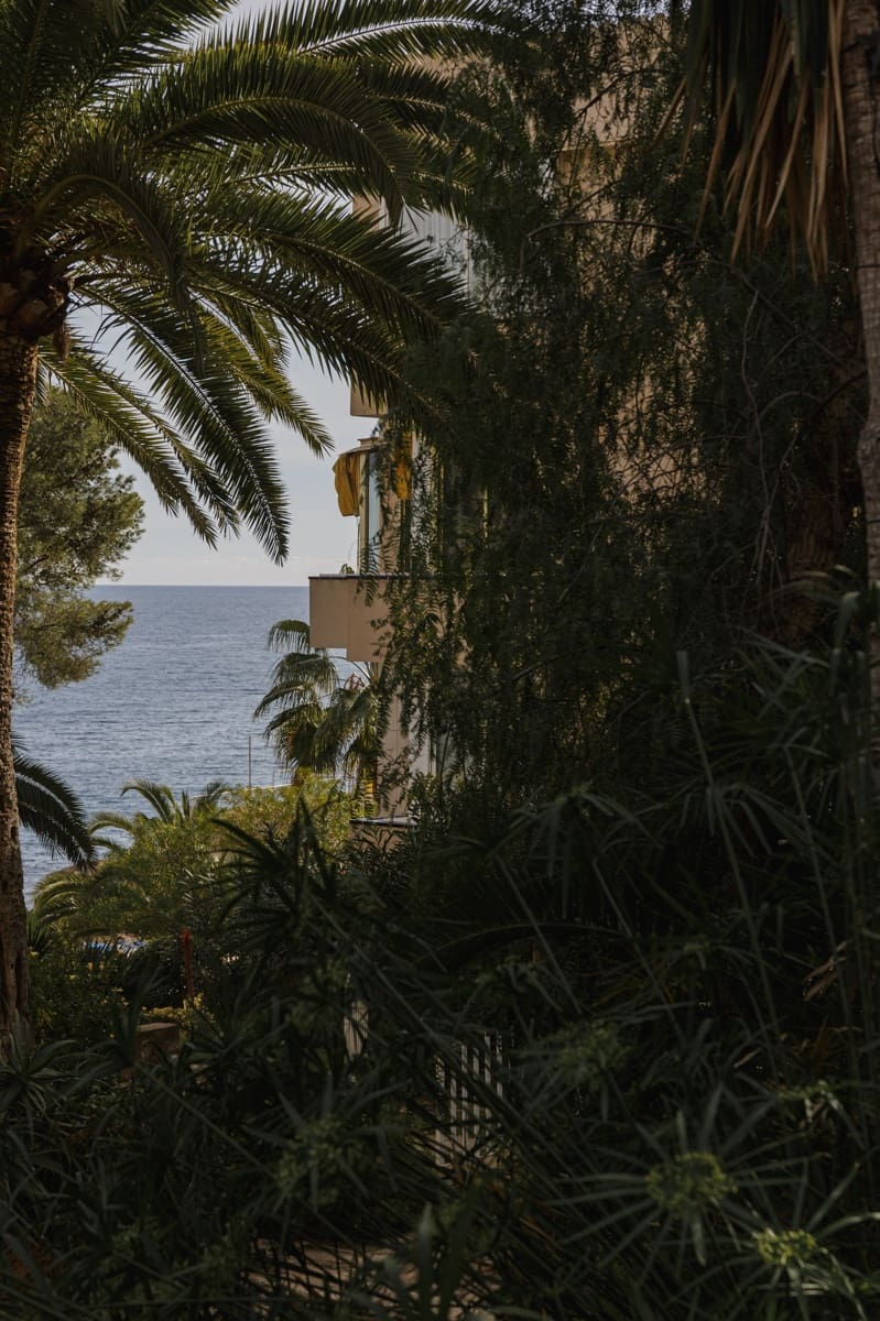 4 Zimmer Apartment zu verkaufen in Calvia - 2.290.000 € (Ref: 8812027)