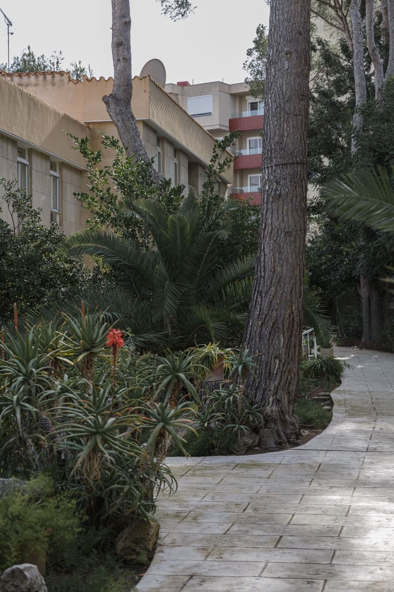 4 Zimmer Apartment zu verkaufen in Calvia - 2.290.000 € (Ref: 8812027)