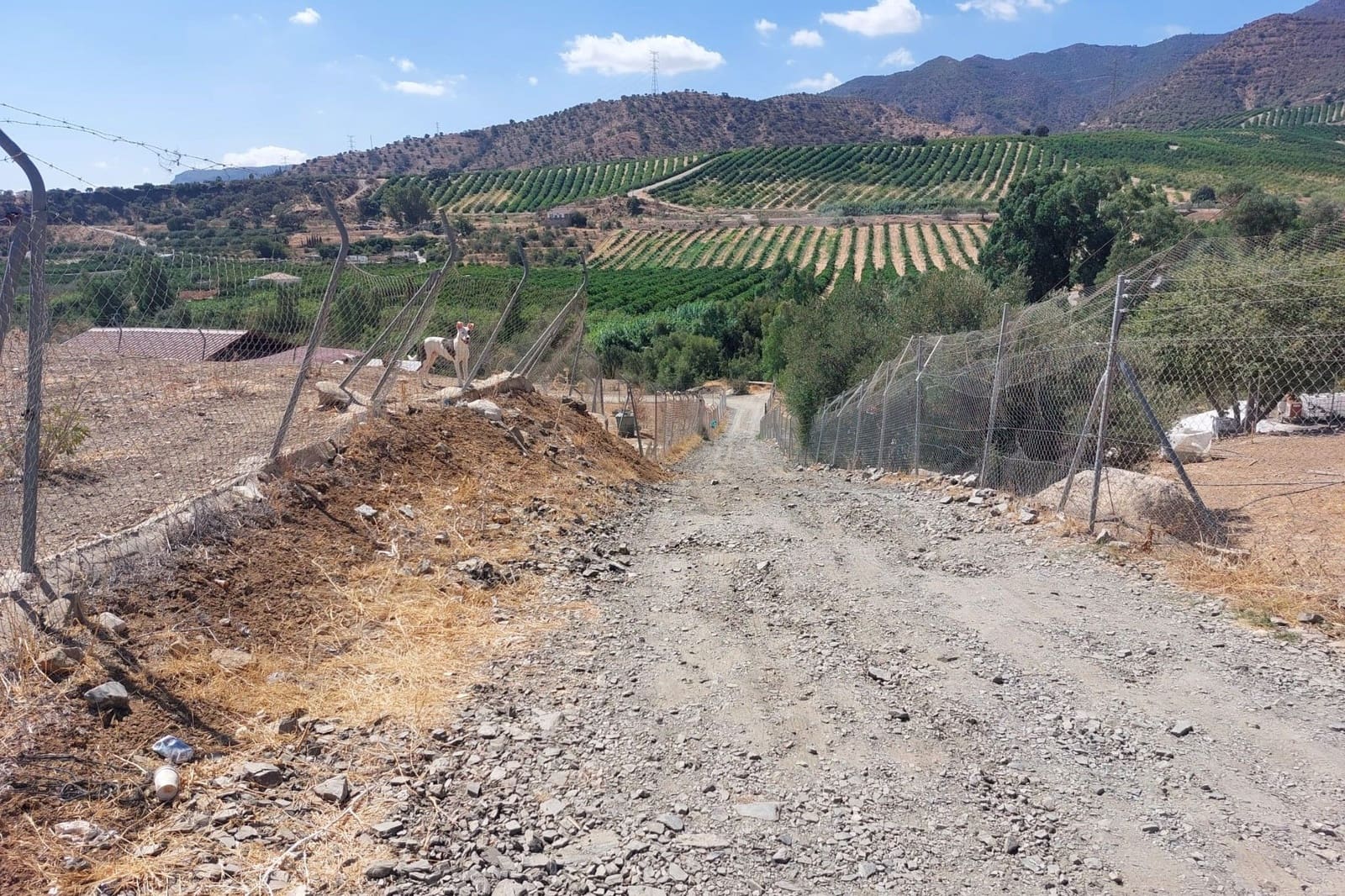 Maison de Ville à vendre à Alora - 39 900 € (Ref: 8846889)