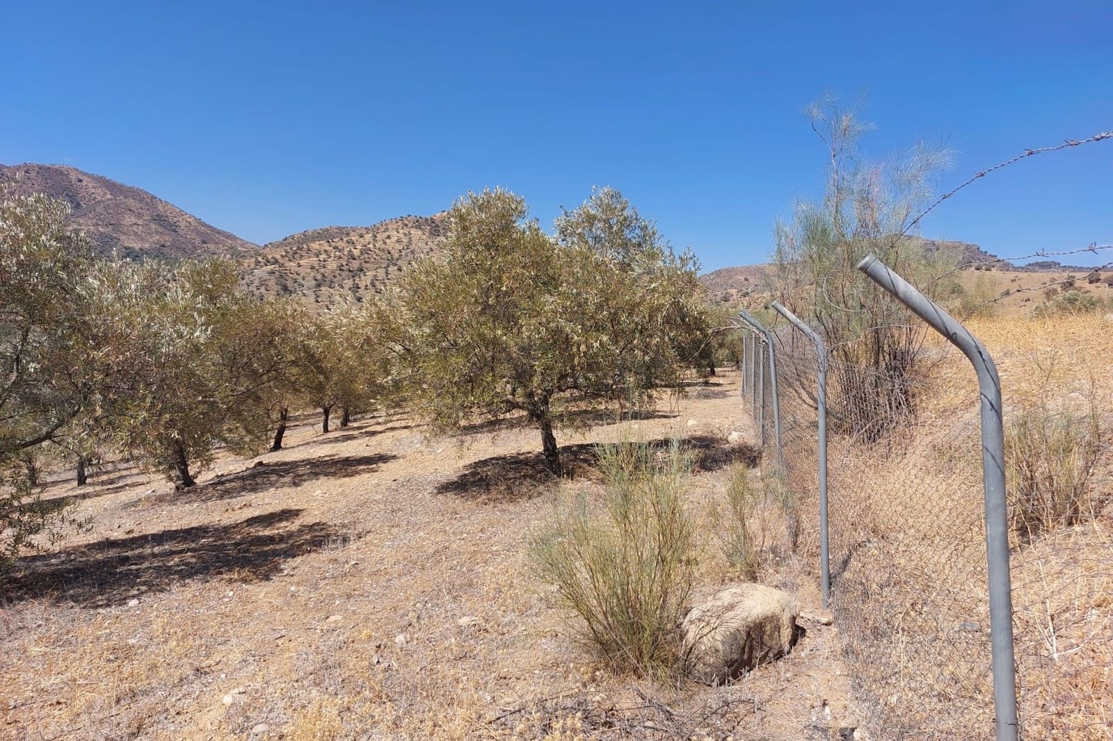 Maison de Ville à vendre à Alora - 39 900 € (Ref: 8846889)