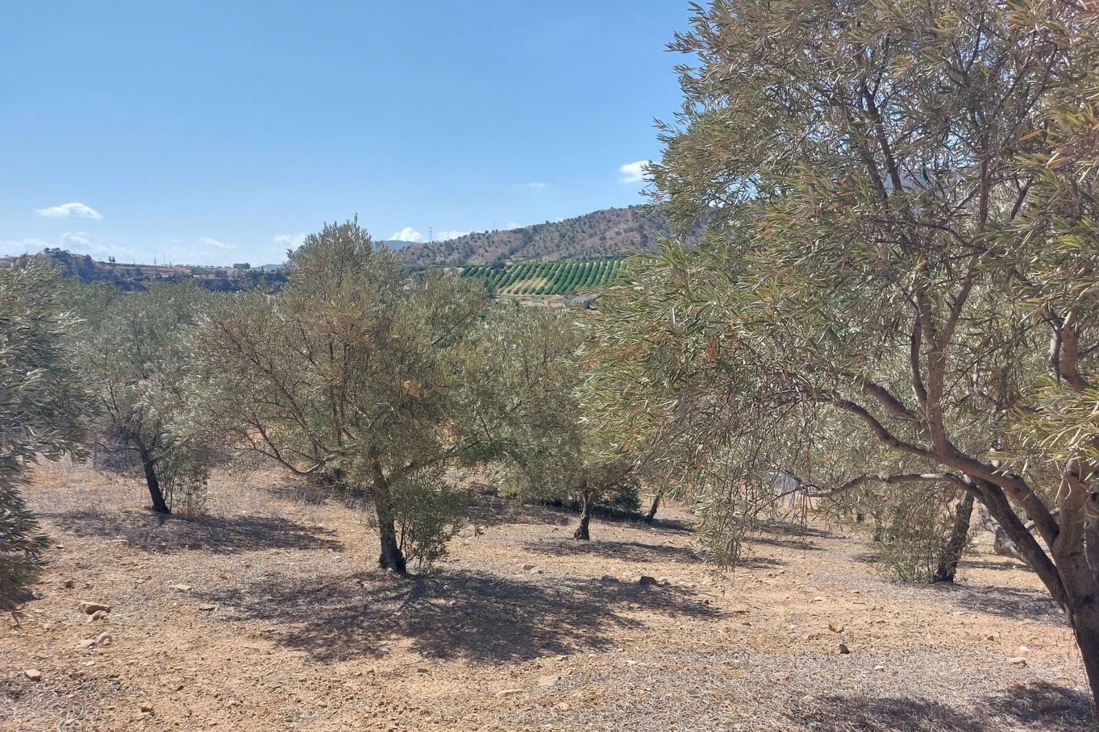 Maison de Ville à vendre à Alora - 39 900 € (Ref: 8846889)