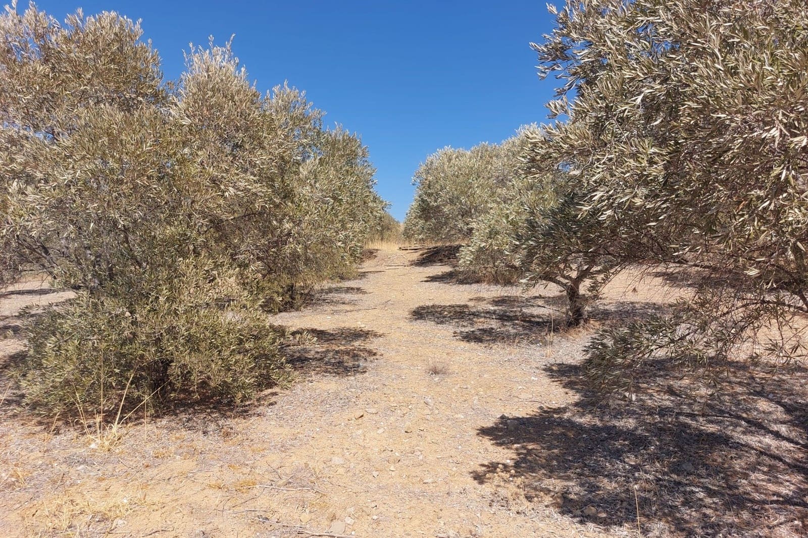 Maison de Ville à vendre à Alora - 39 900 € (Ref: 8846889)