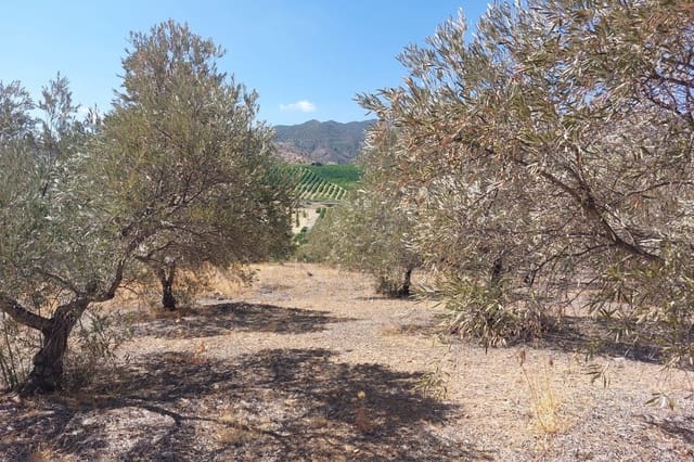 Hus till salu i Alora - 39 900 € (Ref: 8846889)