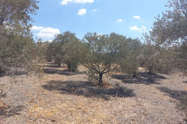 Hus till salu i Alora - 39 900 € (Ref: 8846889)