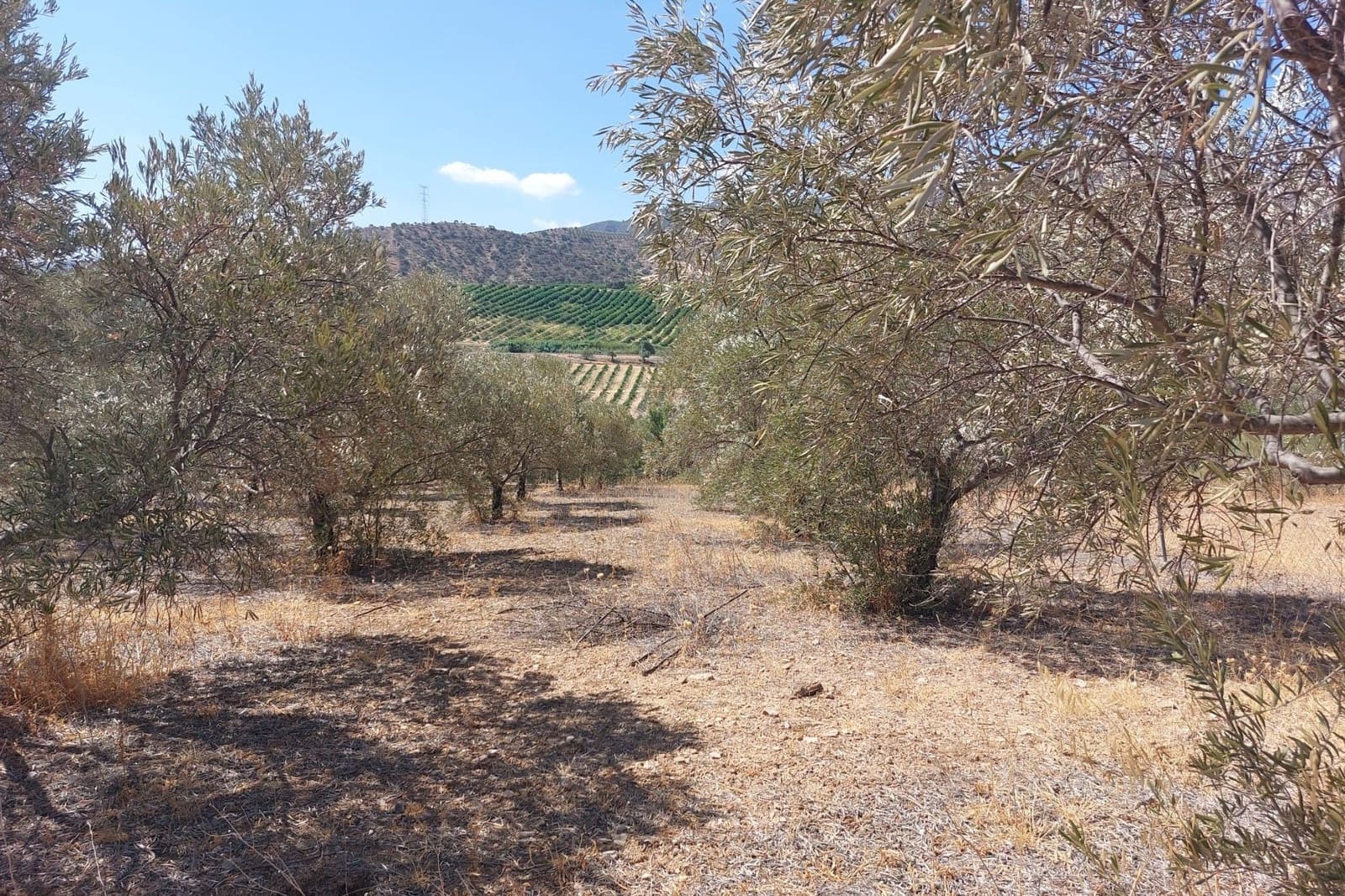 Maison de Ville à vendre à Alora - 39 900 € (Ref: 8846889)