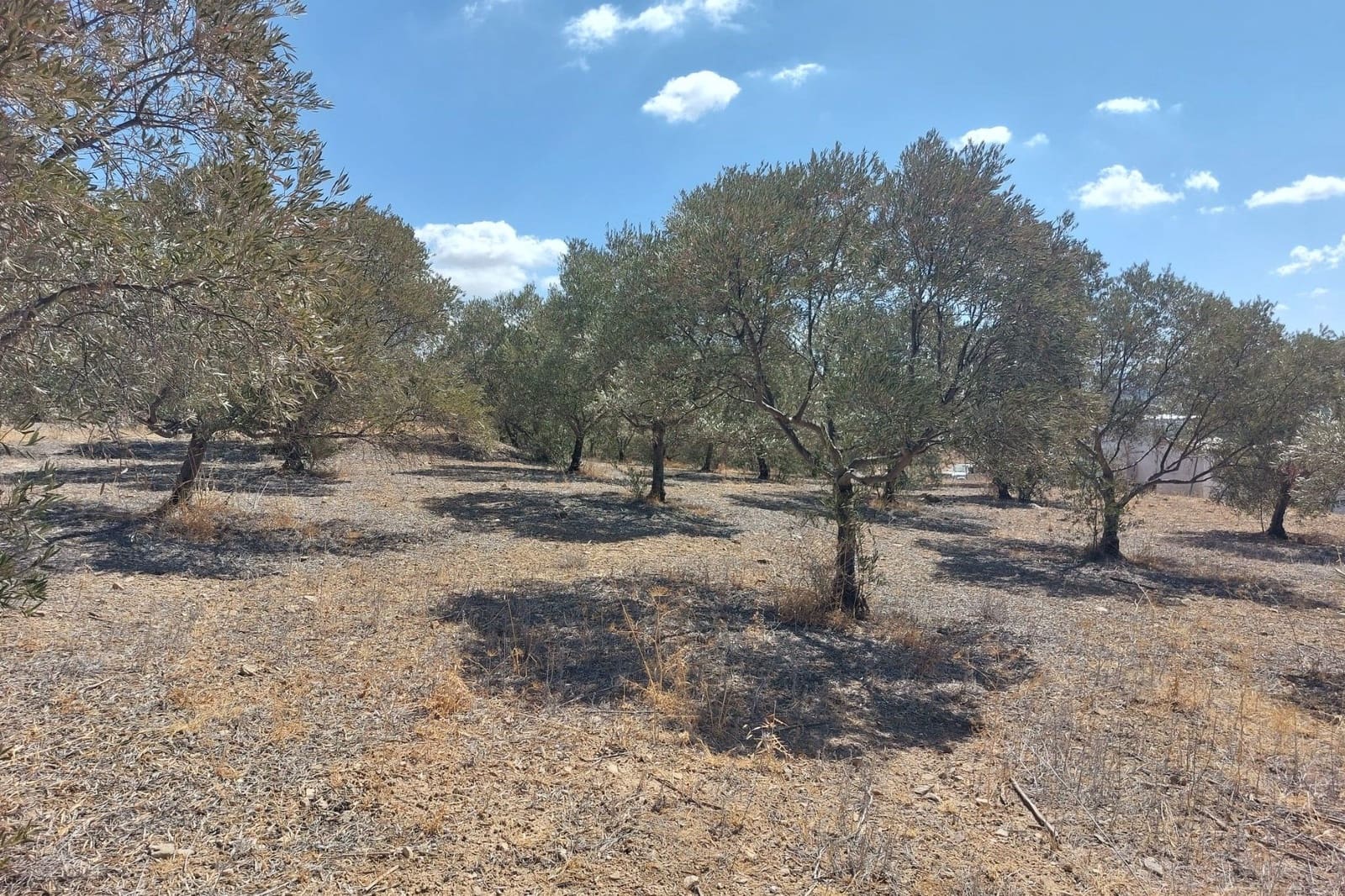 Maison de Ville à vendre à Alora - 39 900 € (Ref: 8846889)