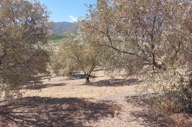 Hus till salu i Alora - 39 900 € (Ref: 8846889)