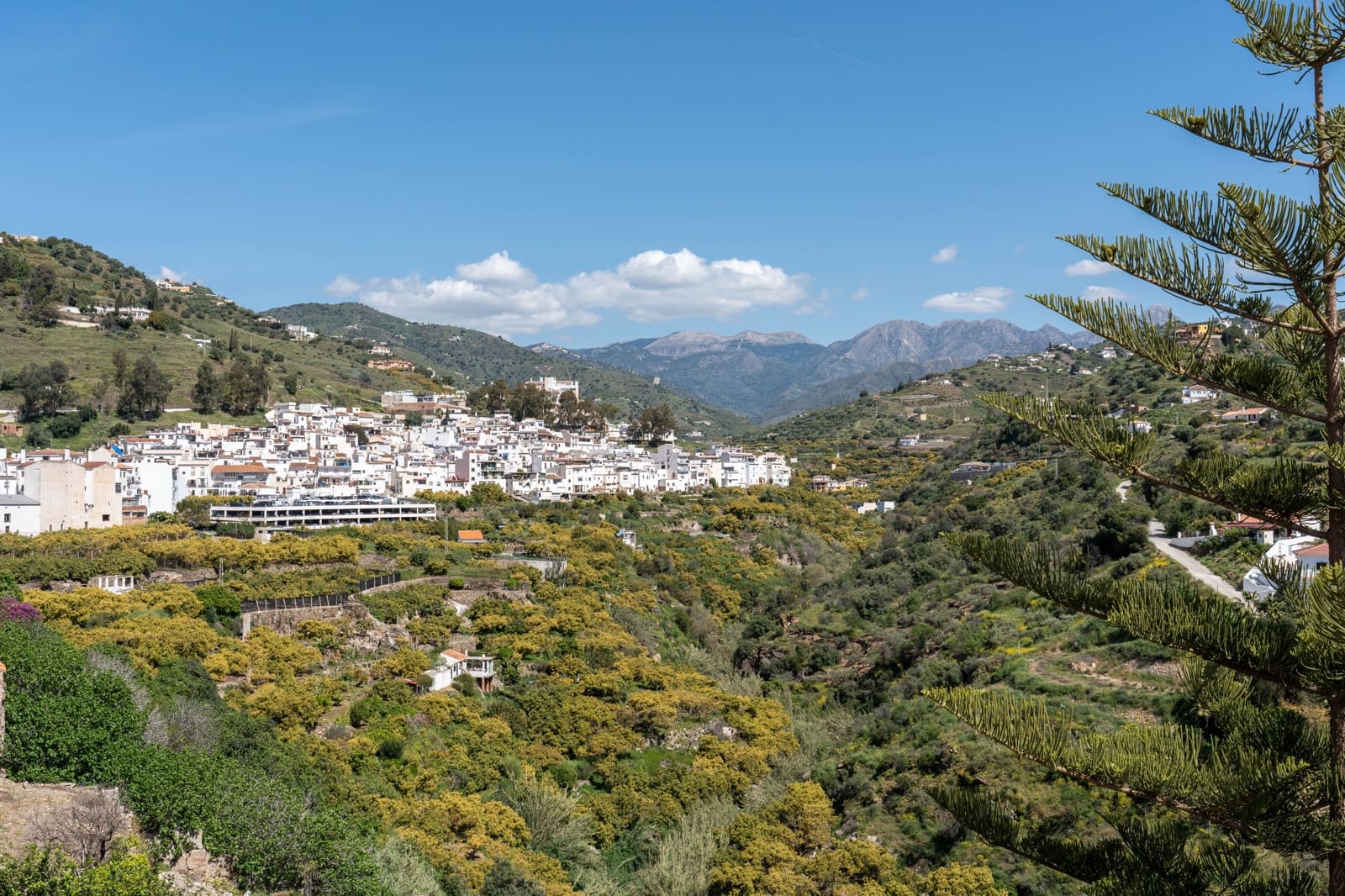 10 soveværelse Hotel til salg i Torrox - € 1.130.000 (Ref: 8923268)