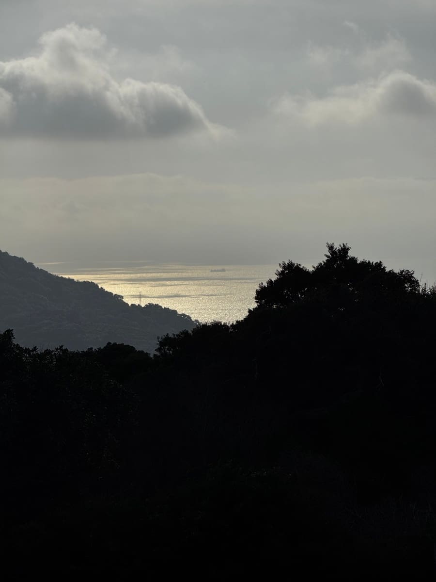 5 soveværelse Villa til salg i Tarifa med swimmingpool - € 2.652.000 (Ref: 8924988)