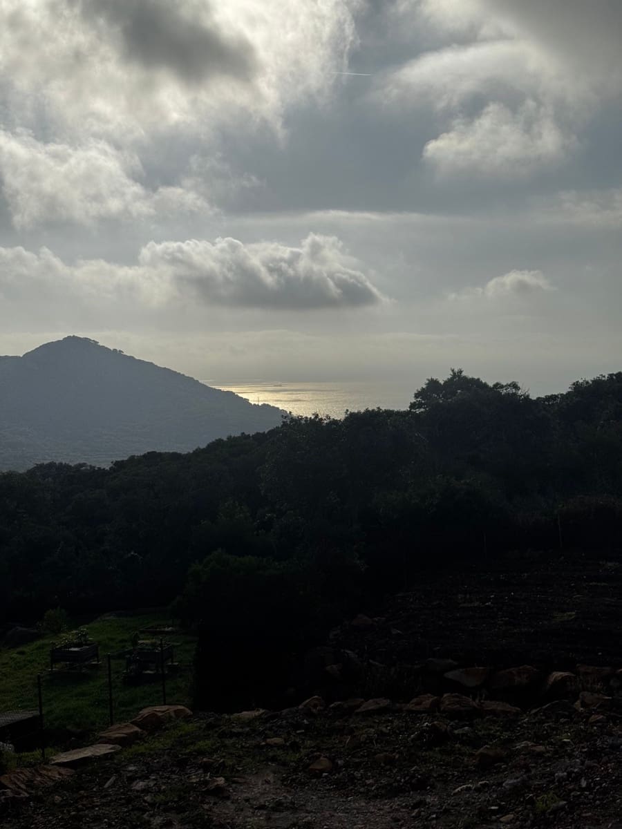 5 soveværelse Villa til salg i Tarifa med swimmingpool - € 2.652.000 (Ref: 8924988)