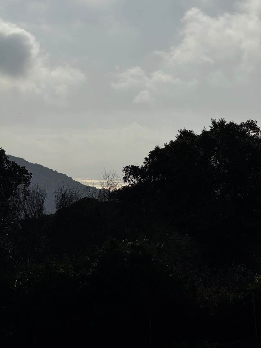 5 soveværelse Villa til salg i Tarifa med swimmingpool - € 2.652.000 (Ref: 8924988)