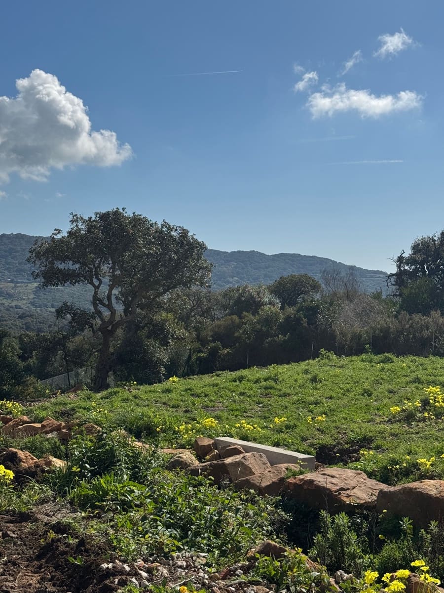 5 camera da letto Villa in vendita in Tarifa con piscina - 2.652.000 € (Rif: 8924988)