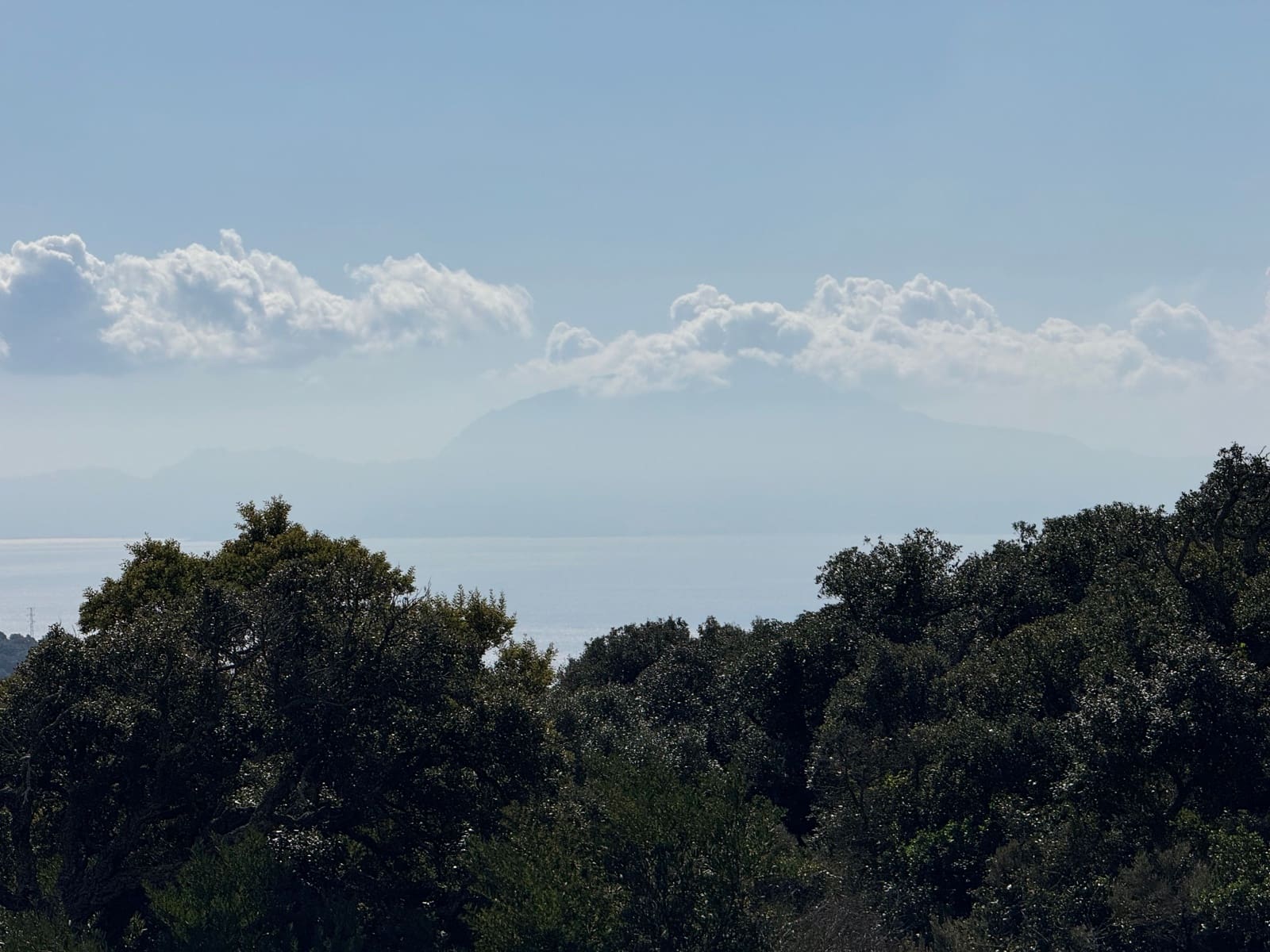 5 camera da letto Villa in vendita in Tarifa con piscina - 2.652.000 € (Rif: 8924988)