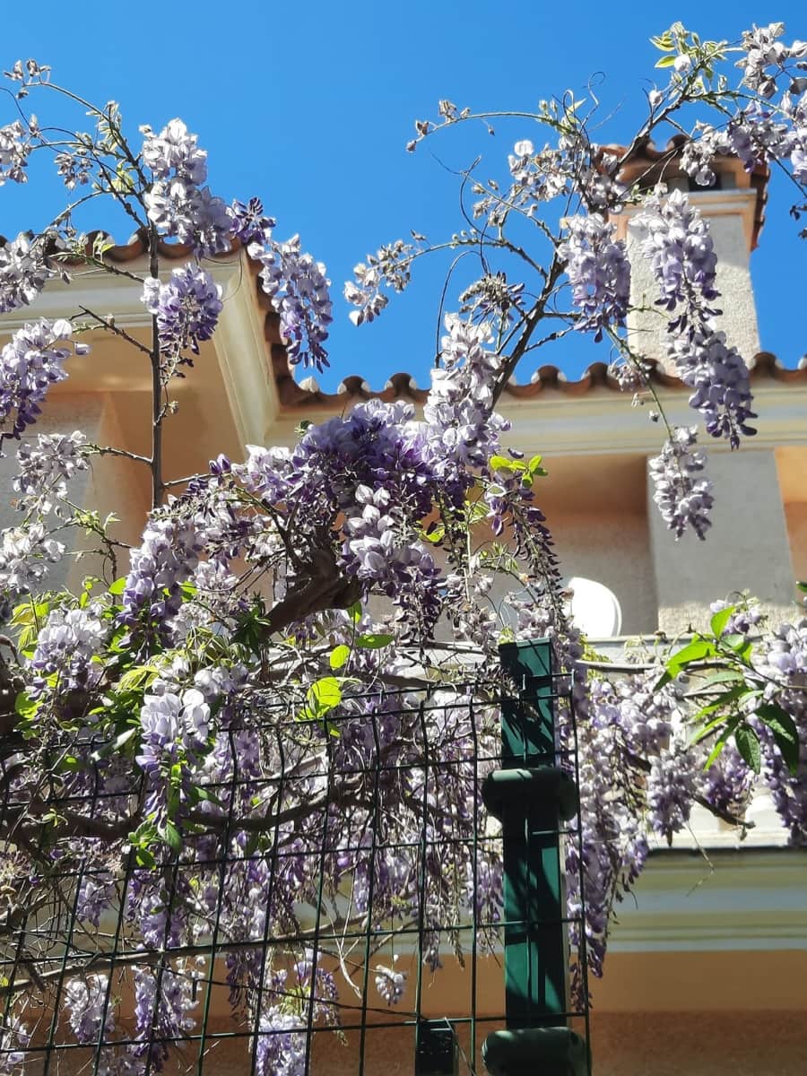 3 camera da letto Villa in vendita in Fuengirola con piscina - 1.225.000 € (Rif: 8951035)