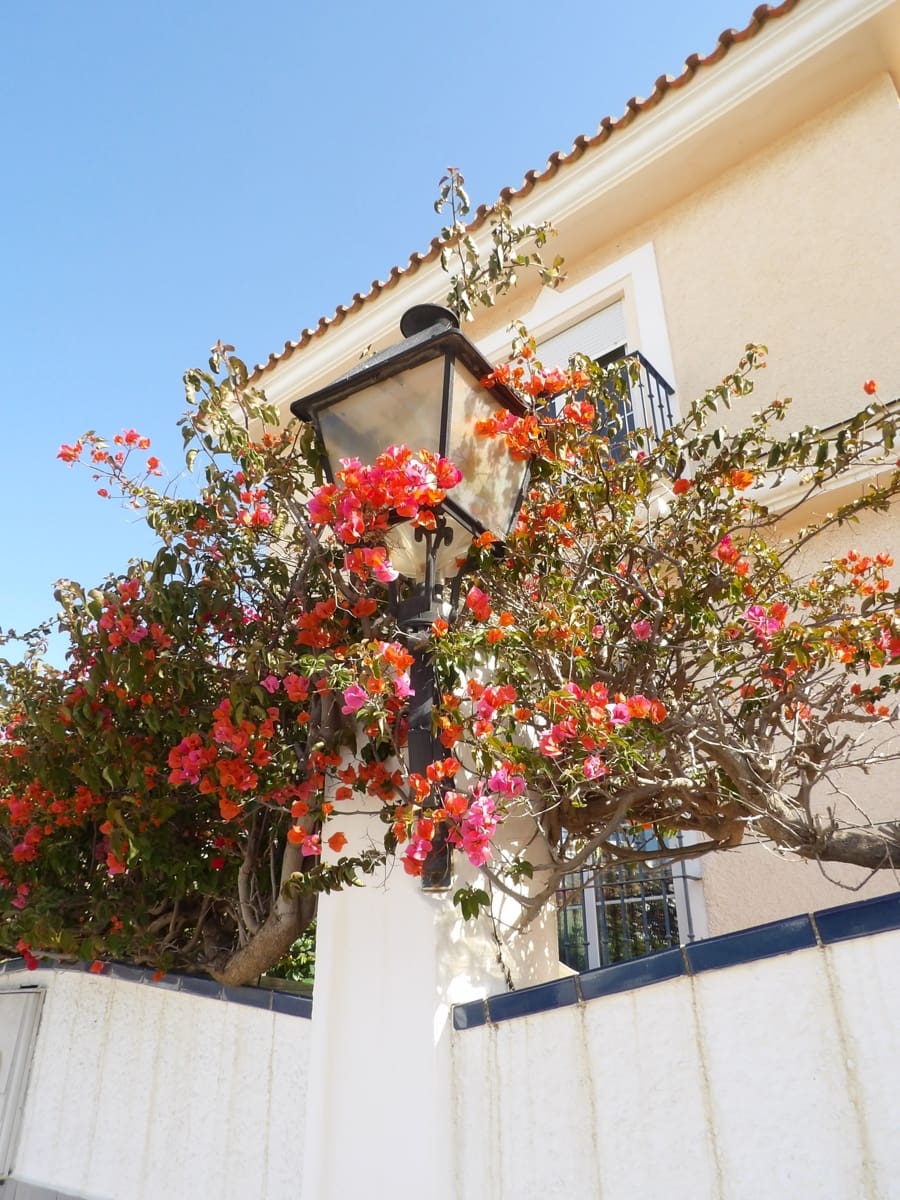 3 camera da letto Villa in vendita in Fuengirola con piscina - 1.225.000 € (Rif: 8951035)