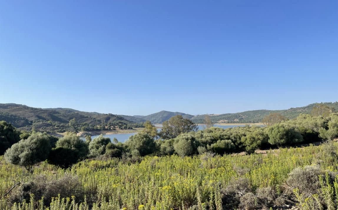 3 soveværelse Finca/Landehus til salg i Castellar de la Frontera - € 1.800.000 (Ref: 8969627)
