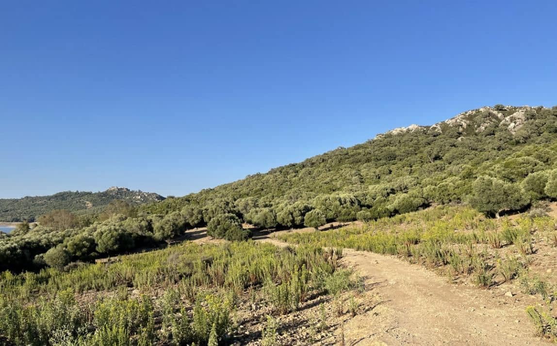 3 soveværelse Finca/Landehus til salg i Castellar de la Frontera - € 1.800.000 (Ref: 8969627)