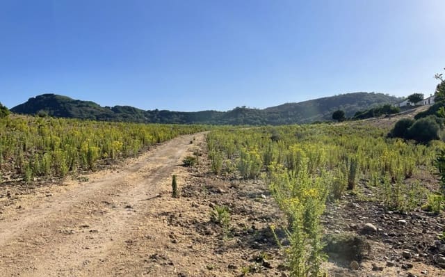 3 soverom Finca/Herregård til salgs i Castellar de la Frontera - € 1 800 000 (Ref: 8969627)