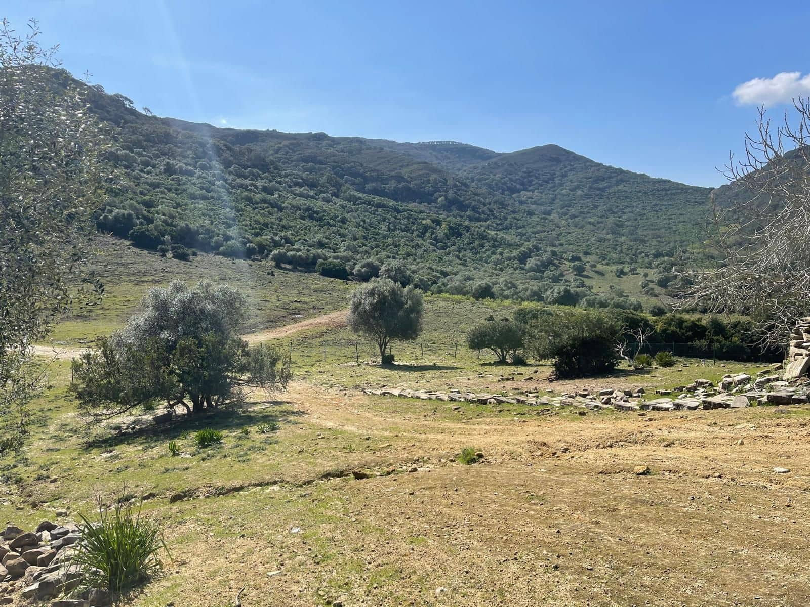 3 soveværelse Finca/Landehus til salg i Castellar de la Frontera - € 1.800.000 (Ref: 8969627)