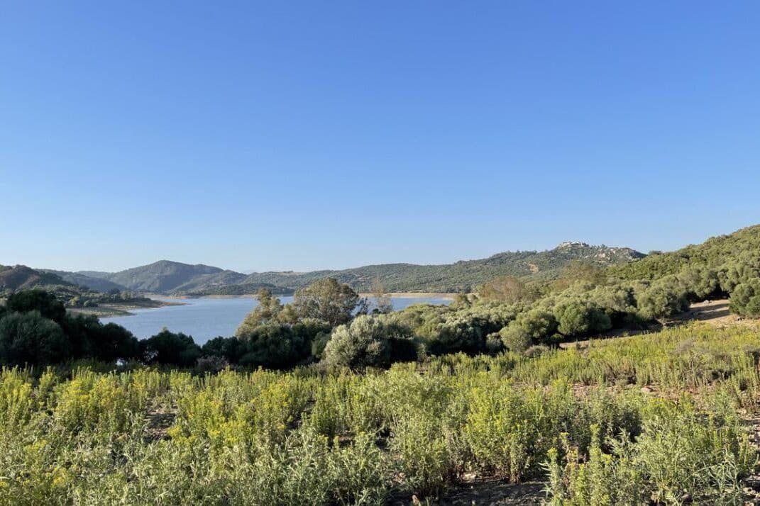 3 soveværelse Finca/Landehus til salg i Castellar de la Frontera - € 1.800.000 (Ref: 8969627)