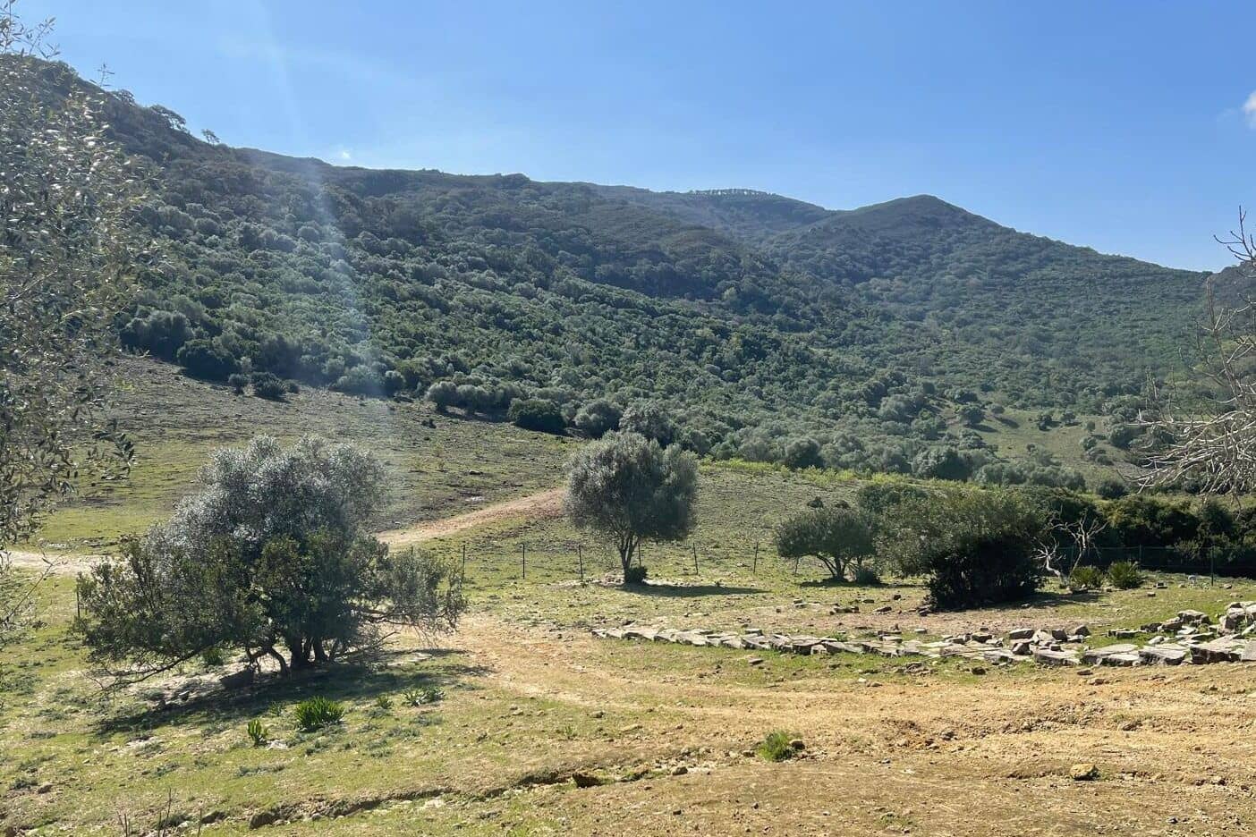 3 soveværelse Finca/Landehus til salg i Castellar de la Frontera - € 1.800.000 (Ref: 8969627)