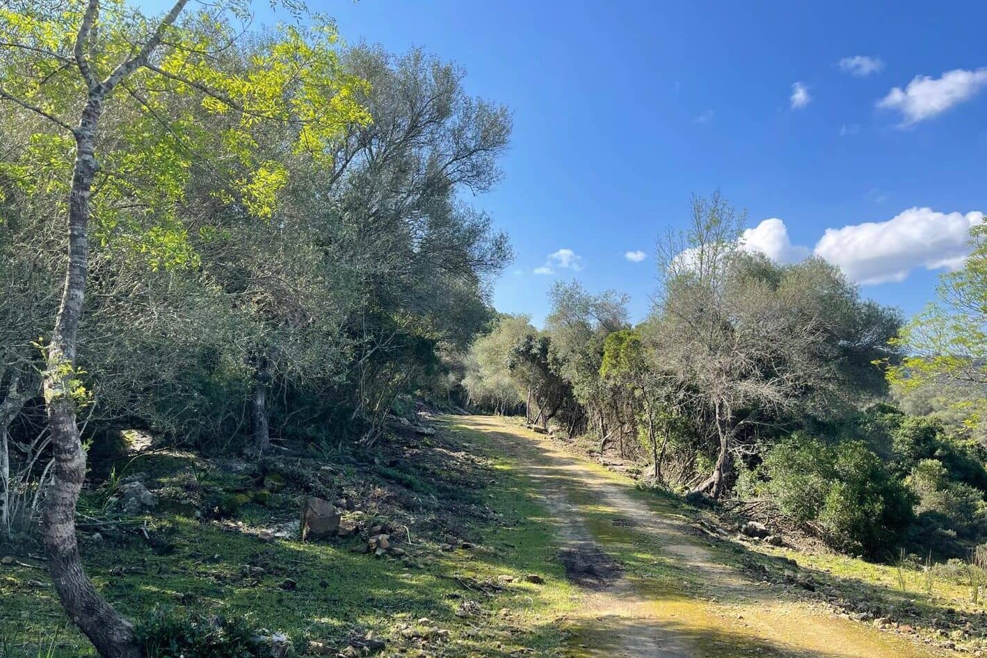 3 soveværelse Finca/Landehus til salg i Castellar de la Frontera - € 1.800.000 (Ref: 8969627)