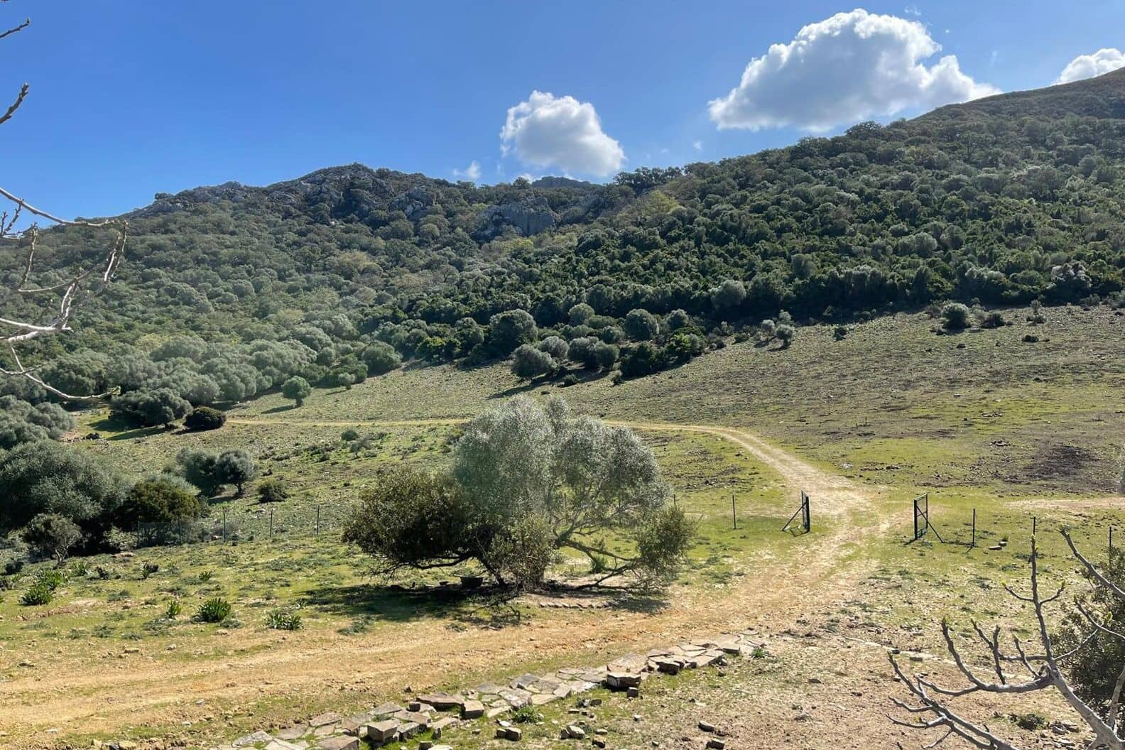 3 soveværelse Finca/Landehus til salg i Castellar de la Frontera - € 1.800.000 (Ref: 8969627)