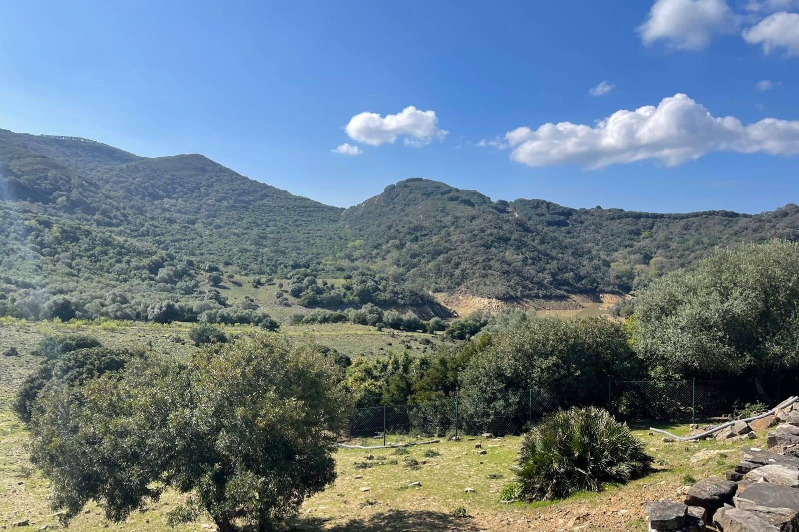 3 soveværelse Finca/Landehus til salg i Castellar de la Frontera - € 1.800.000 (Ref: 8969627)