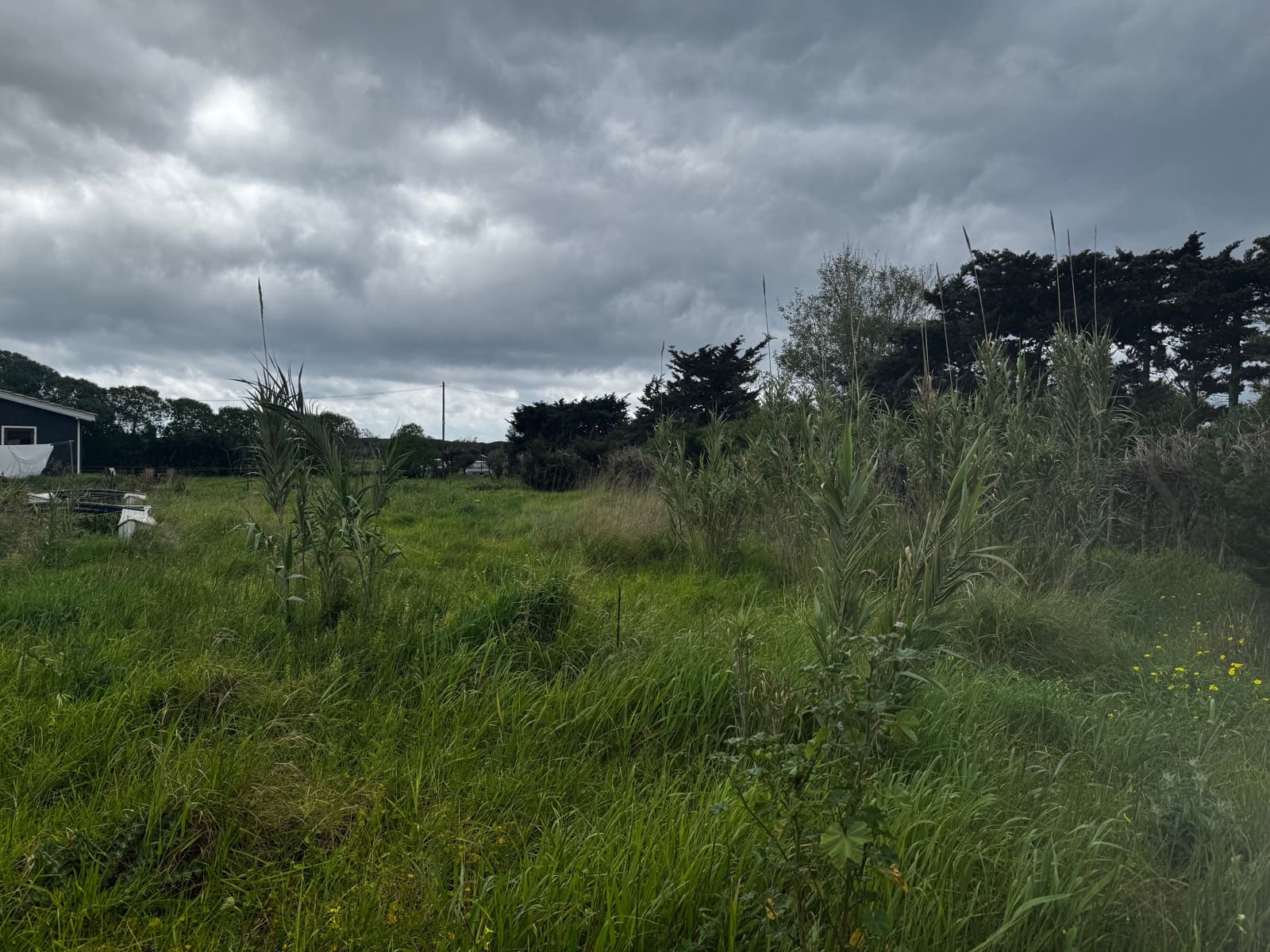 2 soveværelse Byhus til salg i Tarifa - € 580.000 (Ref: 8970672)