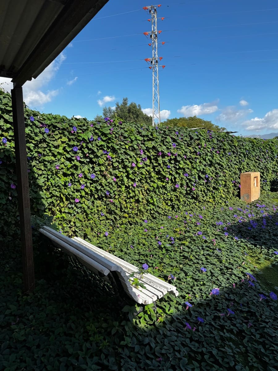 2 soveværelse Byhus til salg i Tarifa - € 580.000 (Ref: 8970672)