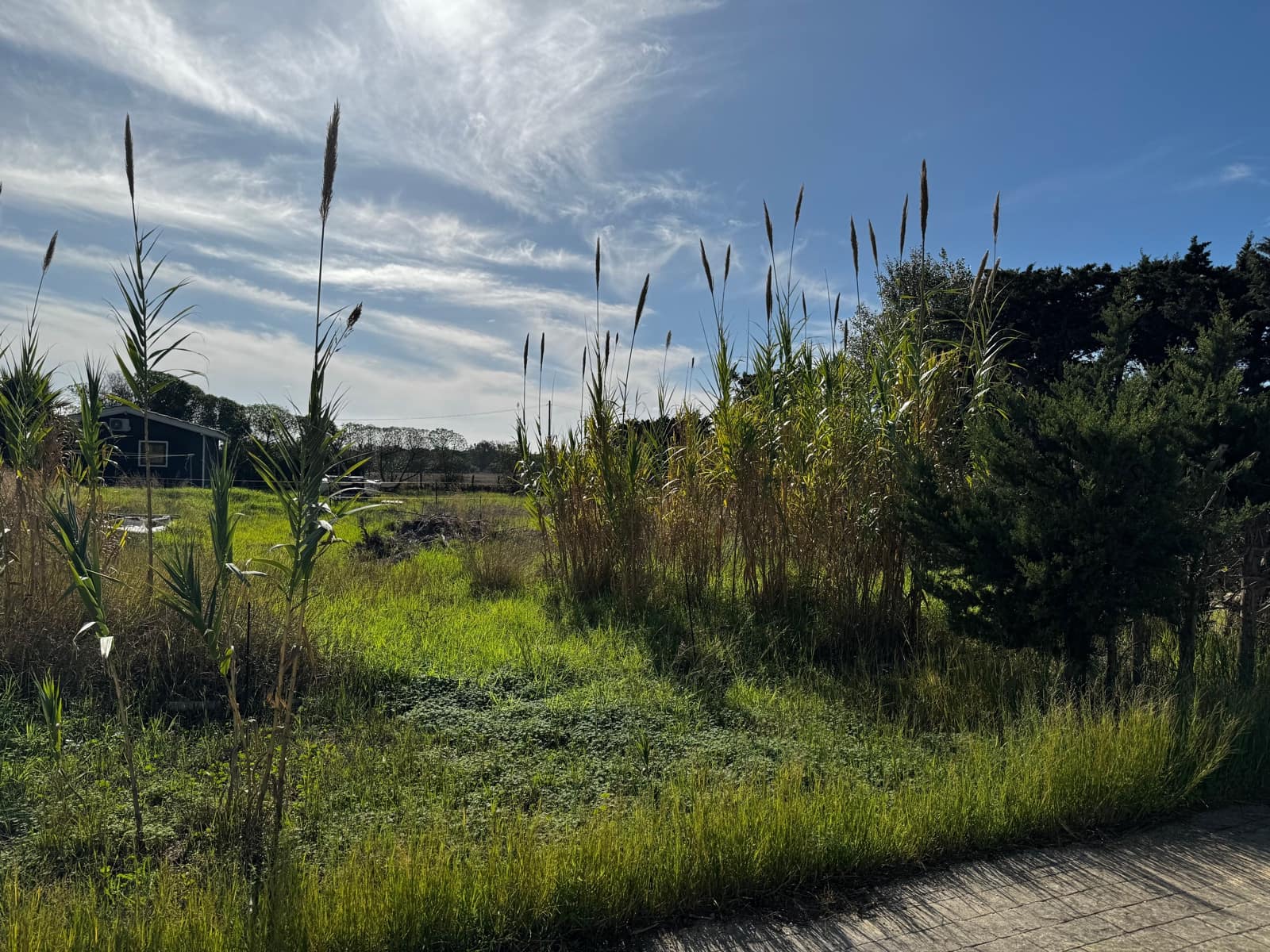 2 soveværelse Byhus til salg i Tarifa - € 580.000 (Ref: 8970672)