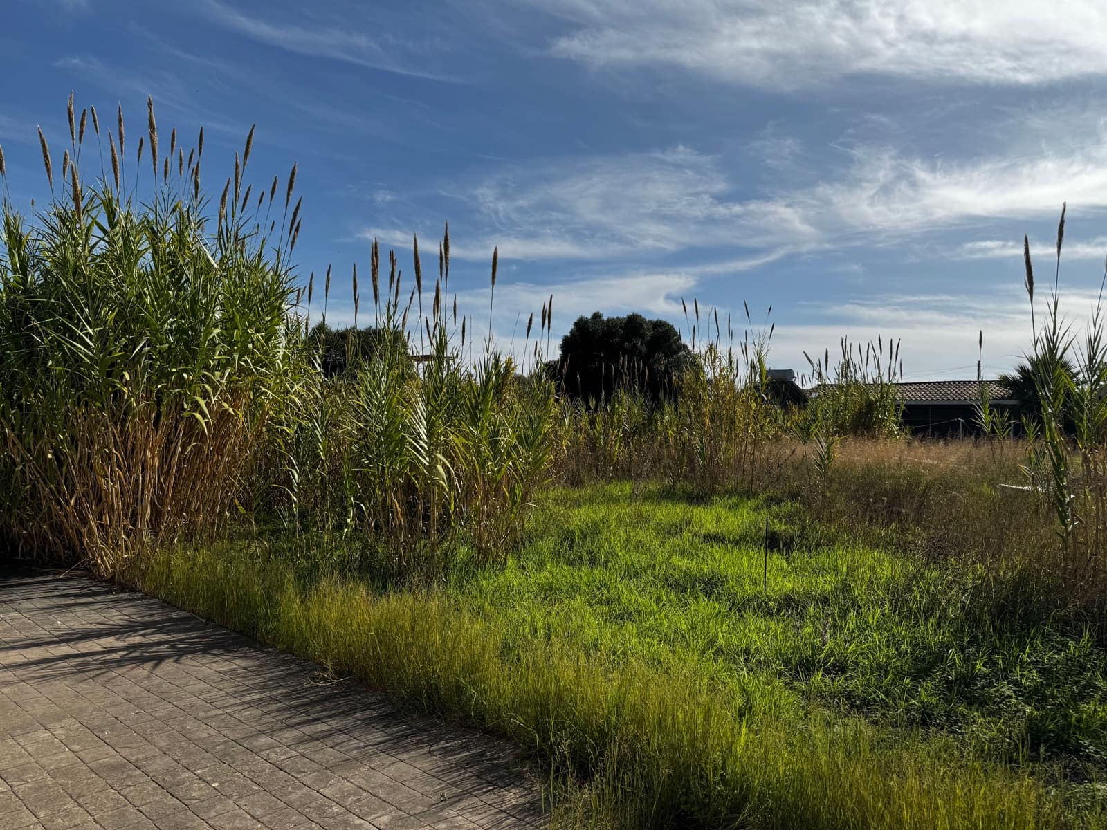 2 soveværelse Byhus til salg i Tarifa - € 580.000 (Ref: 8970672)