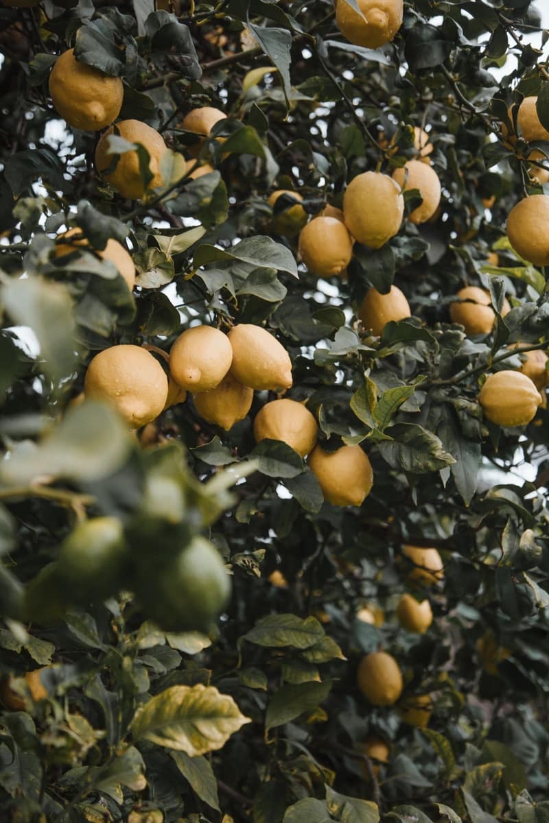 3 bedroom Townhouse for sale in Palma de Mallorca - € 790,000 (Ref: 8975534)